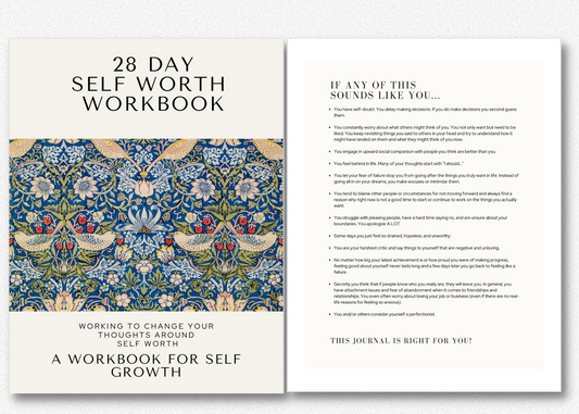 PLR 28 Day Self Worth Printable Workbook For Coaches And Publishers-95 Page Printable For Self Development